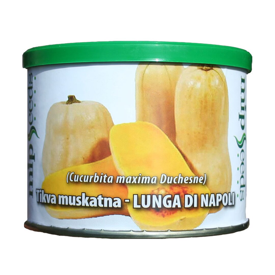 Tikva muskatna LUNGA DI NAPOLI slika.jpg