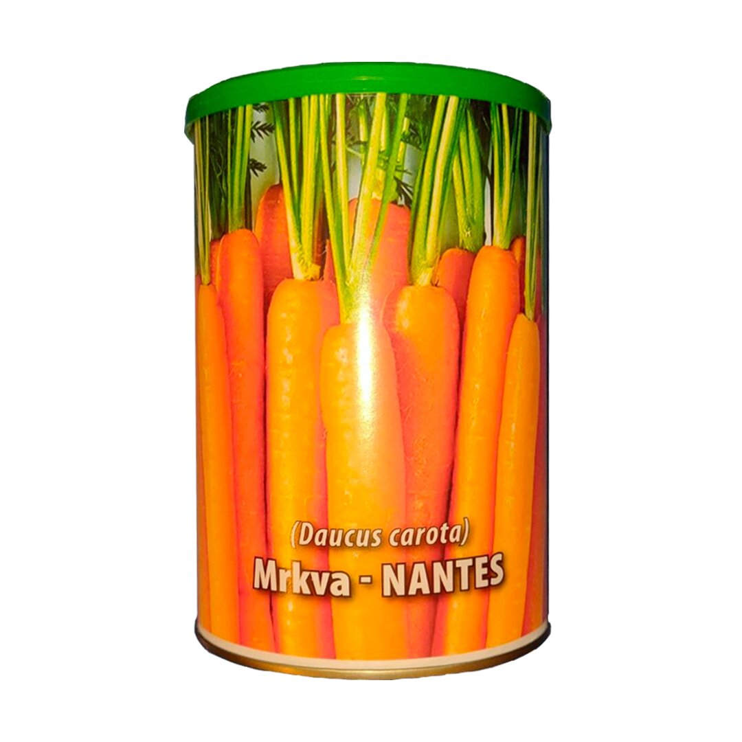 10757Šargarepa Nantes.jpg
