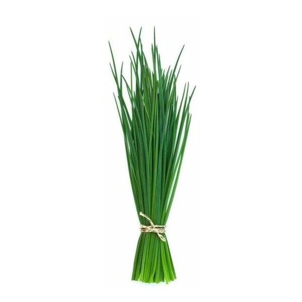 semillas-organicas-de-cebollin-ciboulette-aromaticas-D_NQ_NP_675711-MLA31047159879_062019-F.jpg