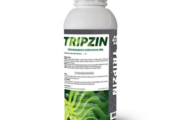 tripzin