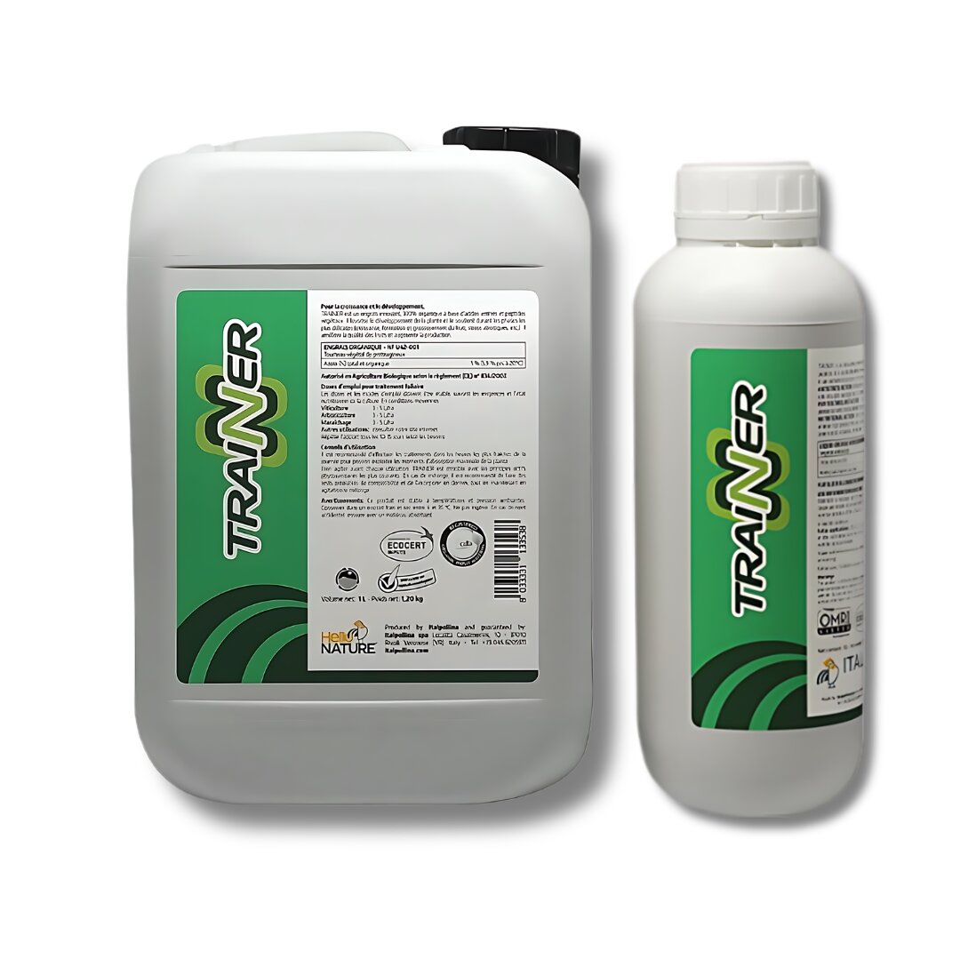 Untitled design (1).png