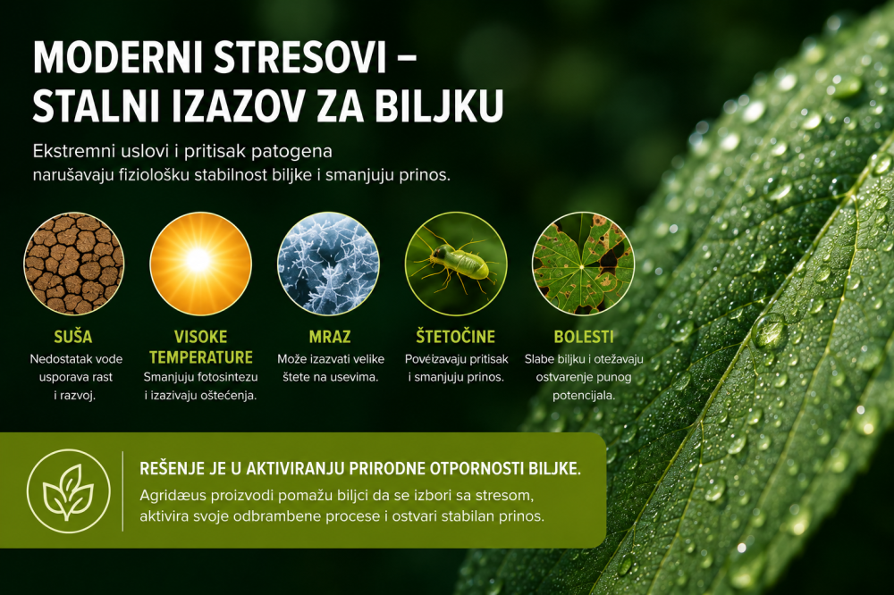 Agri_Graf_2