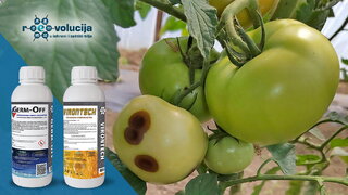 germ off i virontech 23 06 2026 3