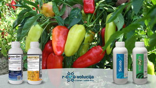 germ off i virontech 2