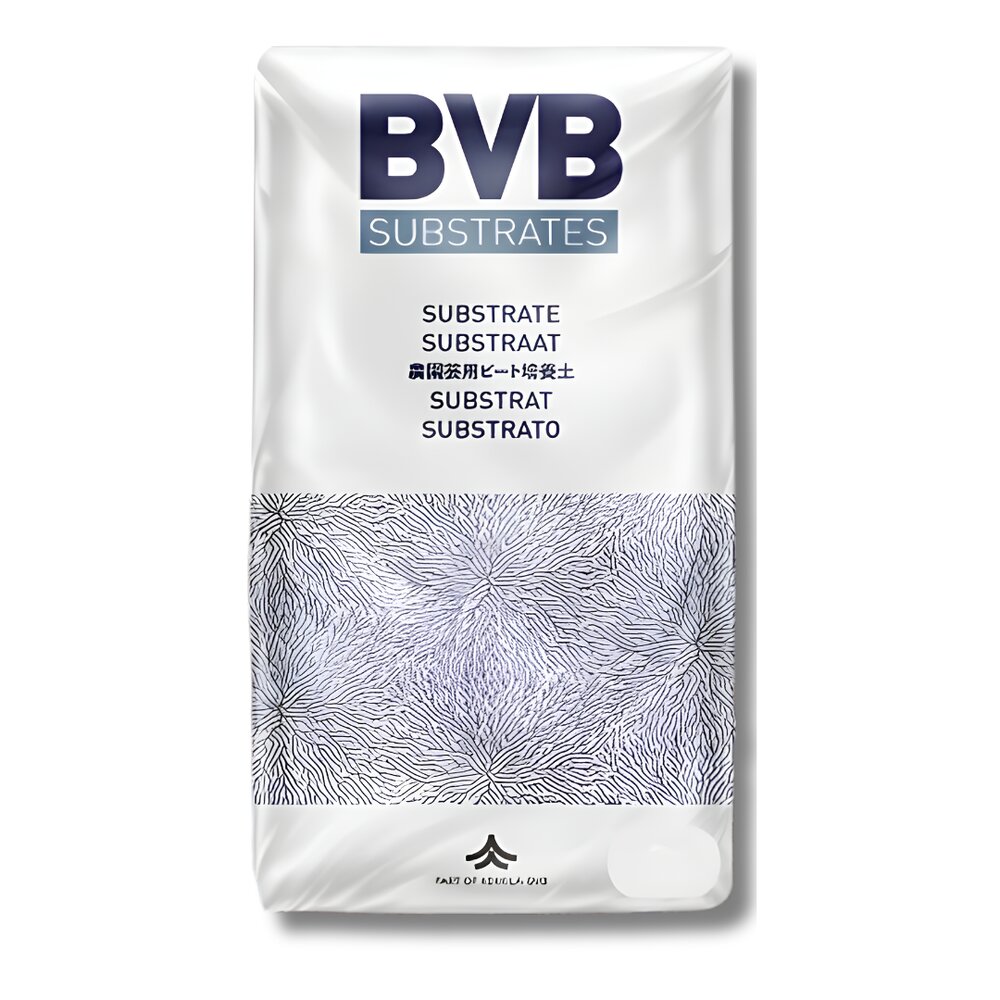 bvb bloom 233