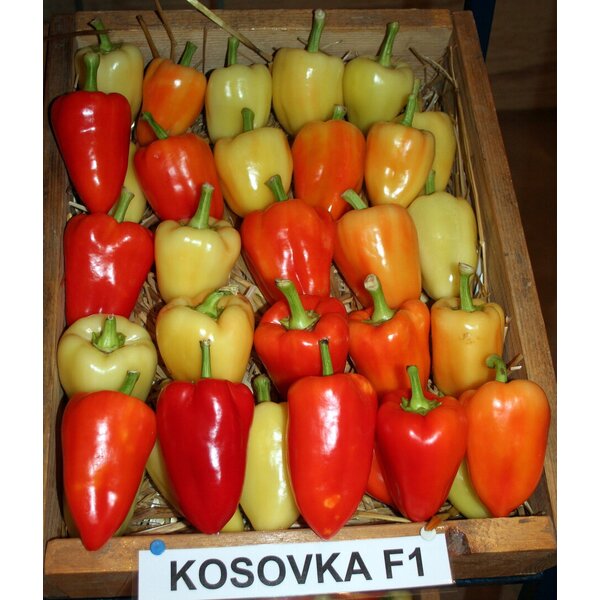 kosovka-f1-11005.jpg