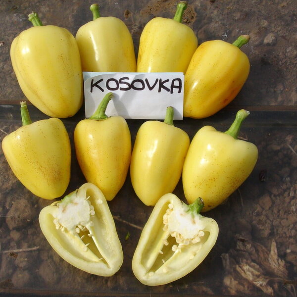 kosovka-f1-1459.jpg