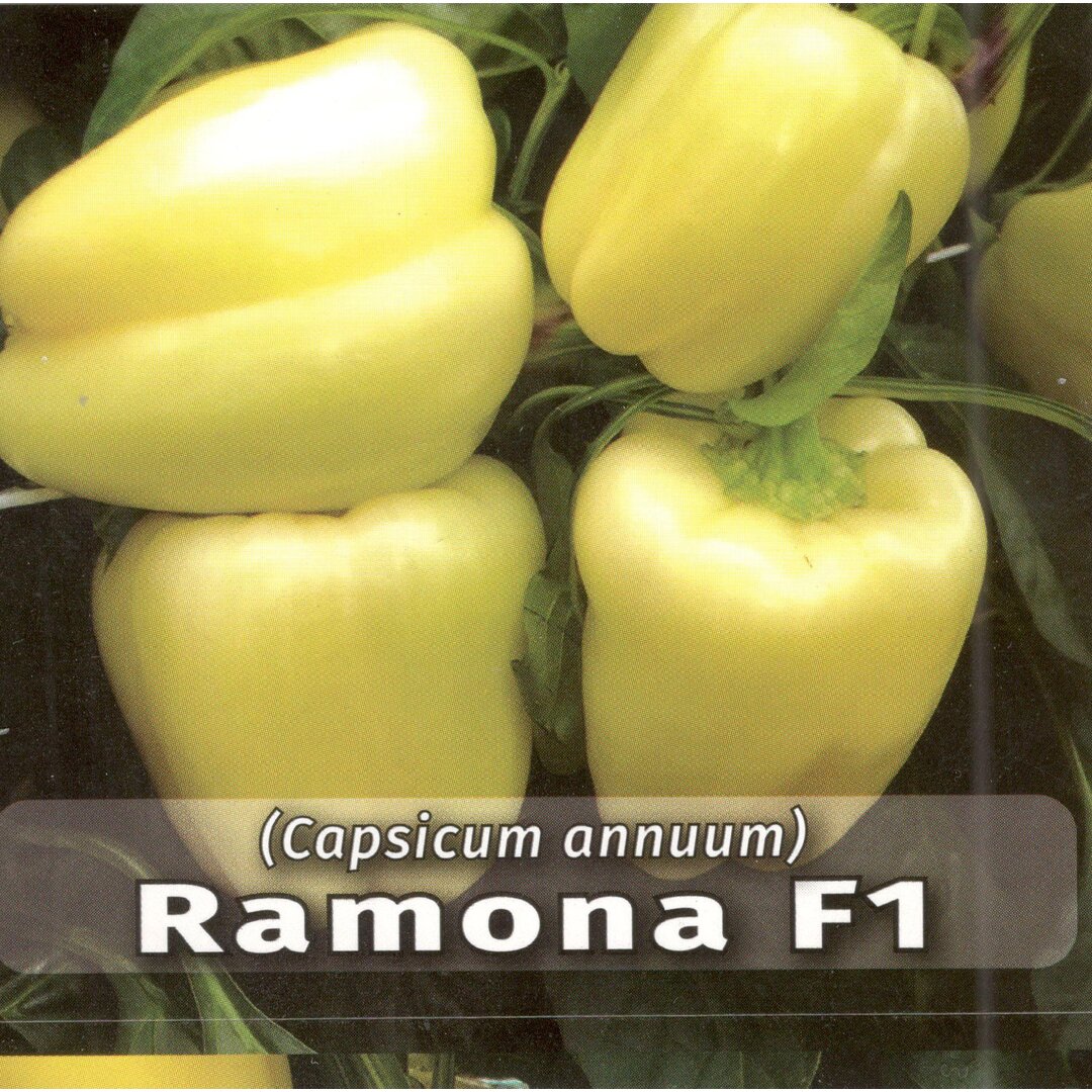 Ramona.jpg
