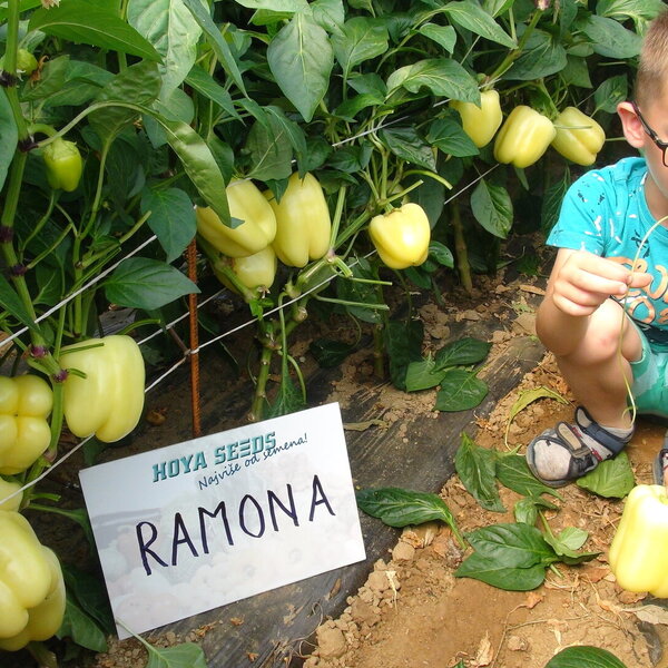 ramona-f1.jpg