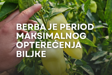 za kvalitetan zavretak proizvodnje