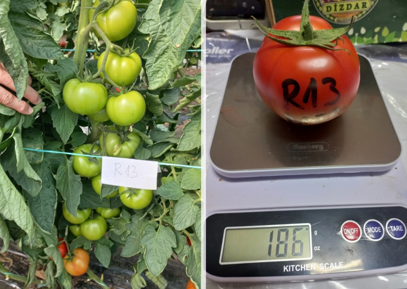 r13_2